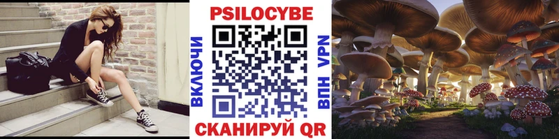 купить  цена  Куса  Галлюциногенные грибы мицелий 